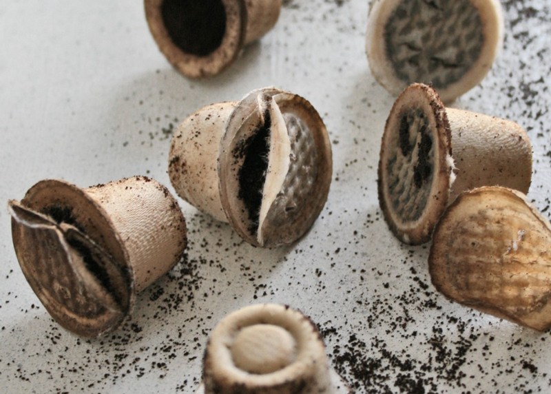coffee capsule home compostable